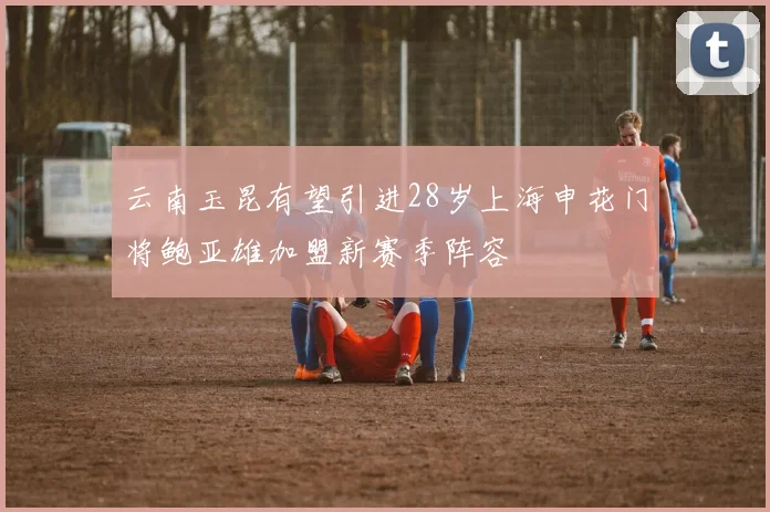 云南玉昆有望引进28岁上海申花门将鲍亚雄加盟新赛季阵容