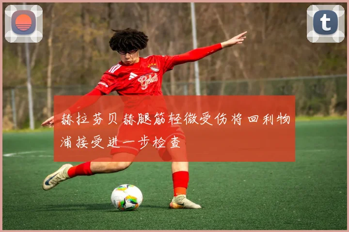 赫拉芬贝赫腿筋轻微受伤将回利物浦接受进一步检查