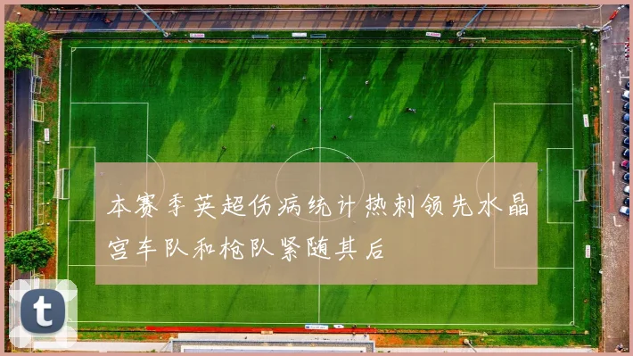 本赛季英超伤病统计热刺领先水晶宫车队和枪队紧随其后